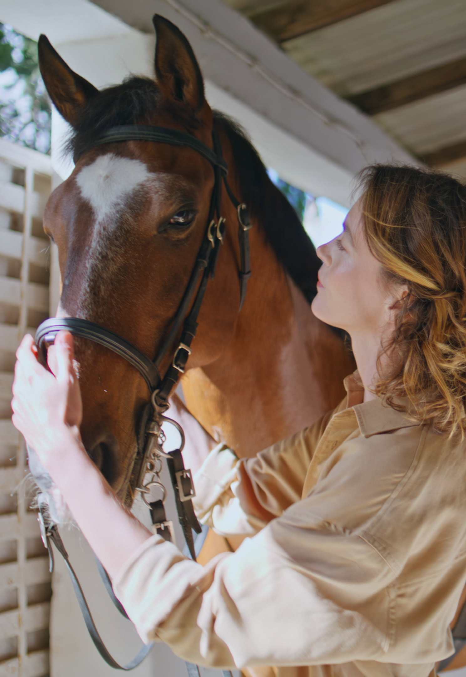 Improving the Lives of Horses and their Owners