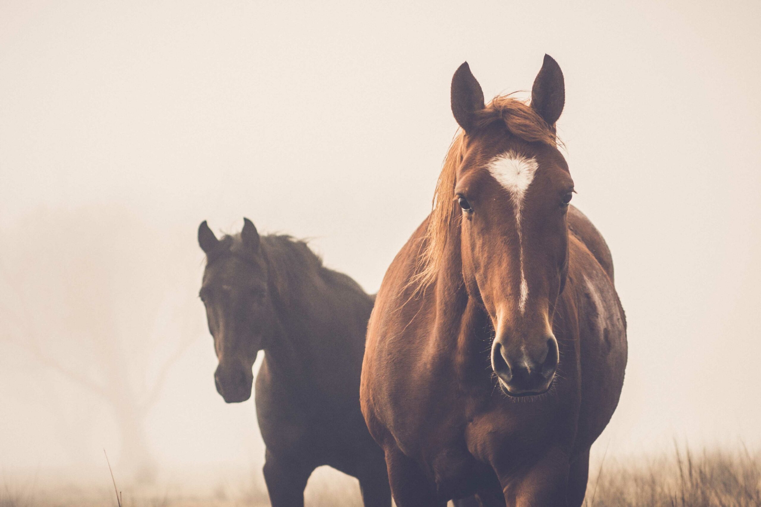 Our Mission Statement