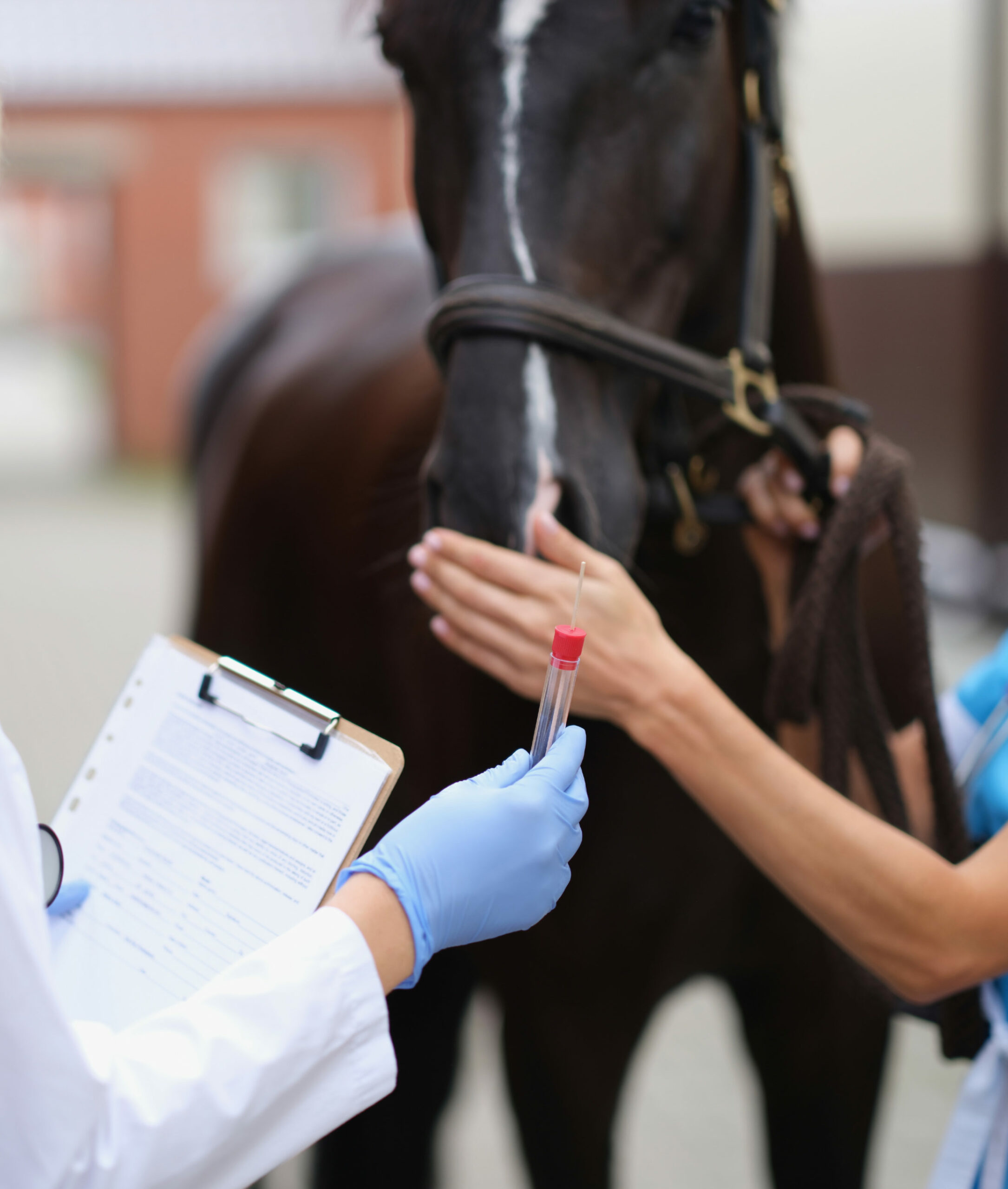 Routine Care Days – Year-Round Half-Price Farm Calls