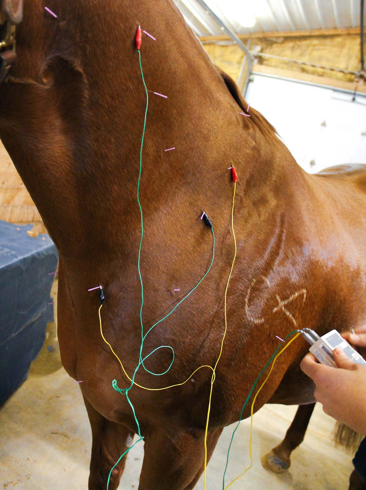 Scheduling Acupuncture and Package Pricing