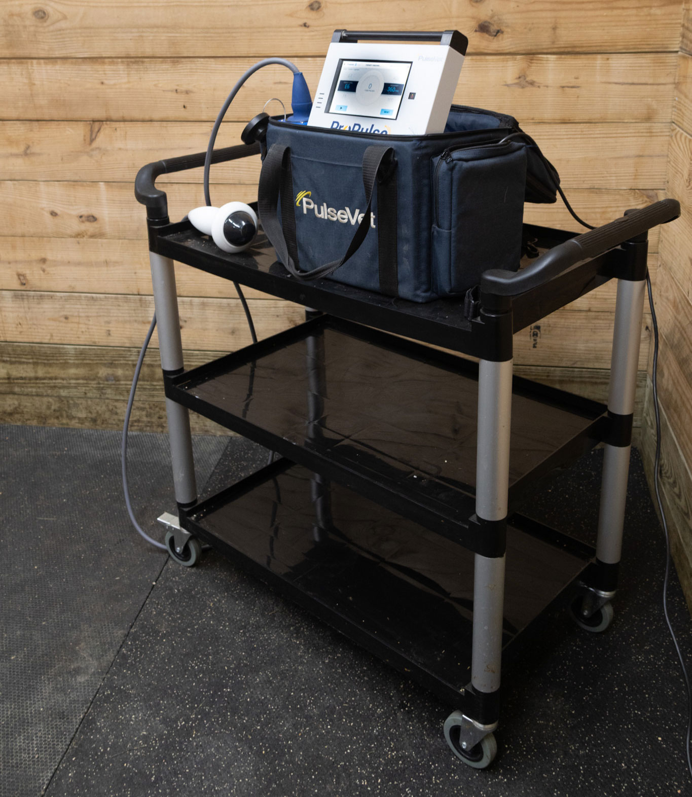 Extracorporeal Shockwave Therapy