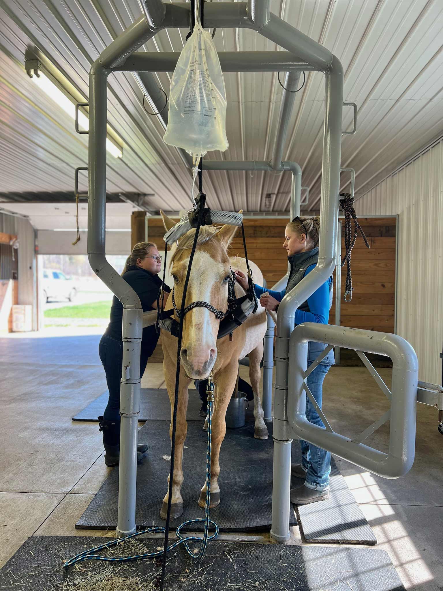 What to Do in an Emergency